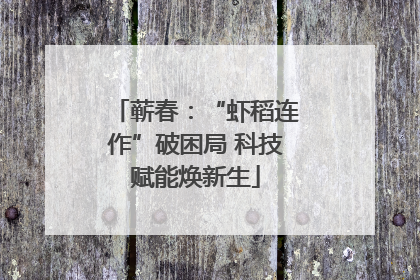 蕲春：“虾稻连作”破困局 科技赋能焕新生