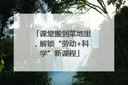 课堂搬到菜地里，解锁“劳动+科学”新课程