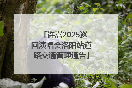 许嵩2025巡回演唱会洛阳站道路交通管理通告