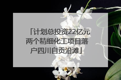 计划总投资22亿元 两个精细化工项目落户四川自贡沿滩