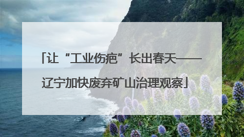 让“工业伤疤”长出春天——辽宁加快废弃矿山治理观察