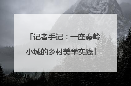 记者手记：一座秦岭小城的乡村美学实践