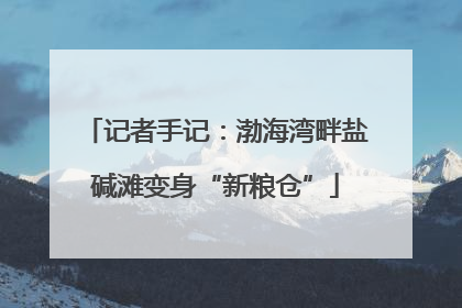 记者手记：渤海湾畔盐碱滩变身“新粮仓”