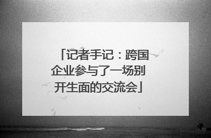 记者手记：跨国企业参与了一场别开生面的交流会