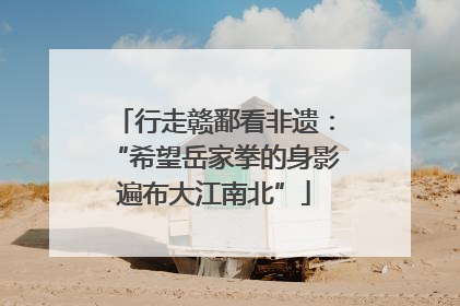 行走赣鄱看非遗：“希望岳家拳的身影遍布大江南北”