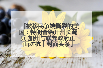被移民争端撕裂的美国：特朗普绕开州长调兵 加州与联邦政府正面对抗丨封面头条