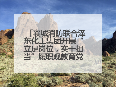 襄城消防联合泽东化工集团开展“立足岗位，实干担当”履职观教育党建联学活动