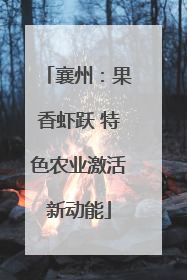 襄州：果香虾跃 特色农业激活新动能
