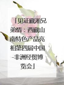 见证藏湘兄弟情：西藏山南特色产品亮相第四届中国-非洲经贸博览会