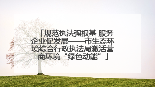 规范执法强根基 服务企业促发展——市生态环境综合行政执法局激活营商环境“绿色动能”