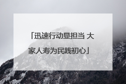 迅速行动显担当 大家人寿为民践初心