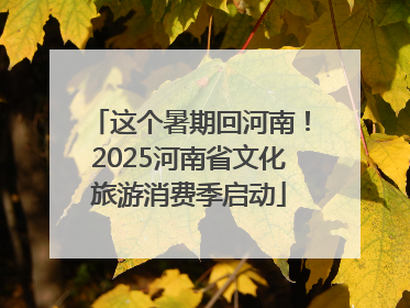 这个暑期回河南！2025河南省文化旅游消费季启动