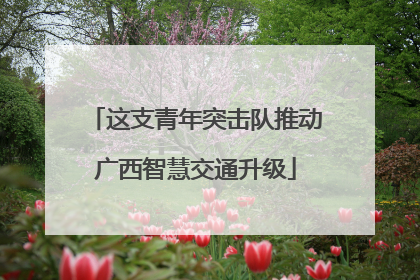 这支青年突击队推动广西智慧交通升级
