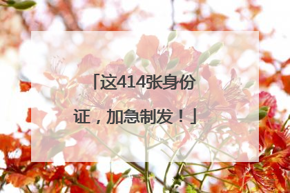 这414张身份证，加急制发！