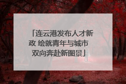 连云港发布人才新政 绘就青年与城市双向奔赴新图景