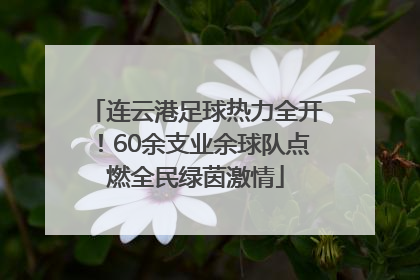 连云港足球热力全开！60余支业余球队点燃全民绿茵激情