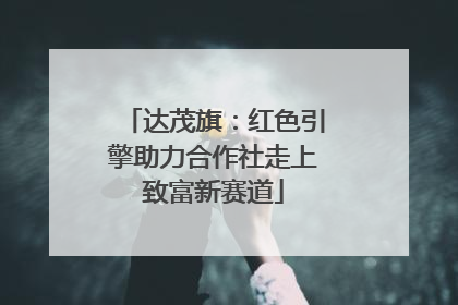 达茂旗：红色引擎助力合作社走上致富新赛道