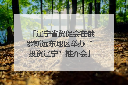辽宁省贸促会在俄罗斯远东地区举办“投资辽宁”推介会