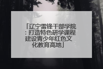 辽宁雷锋干部学院：打造特色研学课程 建设青少年红色文化教育高地