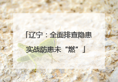 辽宁：全面排查隐患 实战防患未“燃”