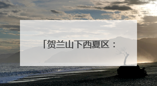 贺兰山下西夏区：执“生态之笔” 书写“绿色答卷”