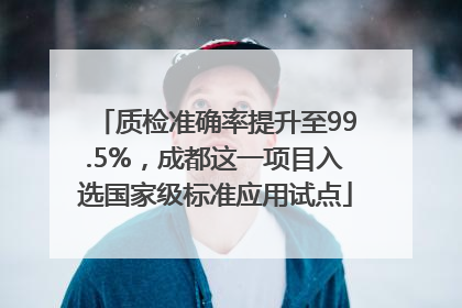 质检准确率提升至99.5%，成都这一项目入选国家级标准应用试点