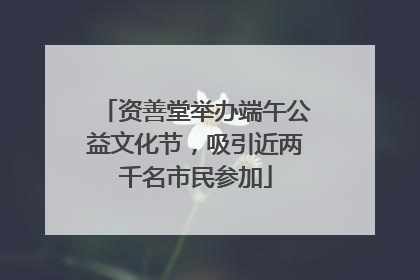 资善堂举办端午公益文化节，吸引近两千名市民参加