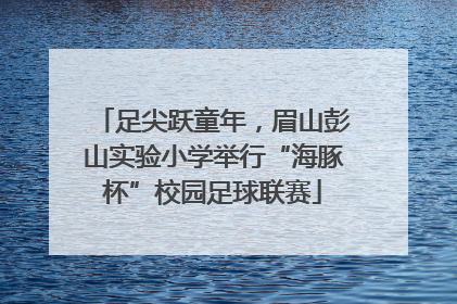 足尖跃童年，眉山彭山实验小学举行“海豚杯”校园足球联赛