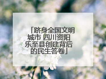 跻身全国文明城市 四川资阳乐至县创建背后的民生答卷