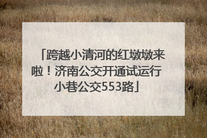 跨越小清河的红墩墩来啦！济南公交开通试运行小巷公交553路