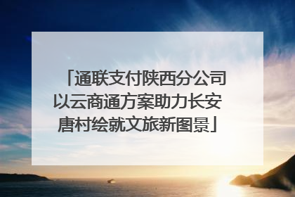 通联支付陕西分公司以云商通方案助力长安唐村绘就文旅新图景