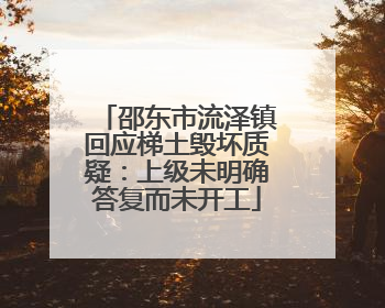 邵东市流泽镇回应梯土毁坏质疑：上级未明确答复而未开工