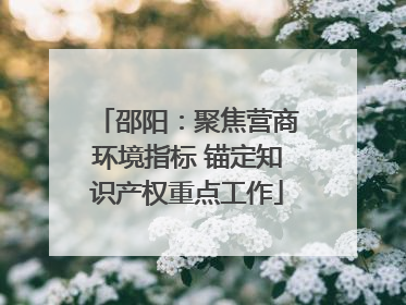 邵阳：聚焦营商环境指标 锚定知识产权重点工作