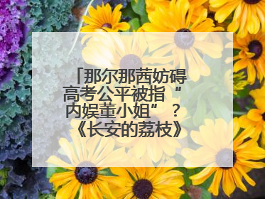 那尔那茜妨碍高考公平被指“内娱董小姐”？《长安的荔枝》播出未受影响