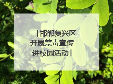 邯郸复兴区开展禁毒宣传进校园活动