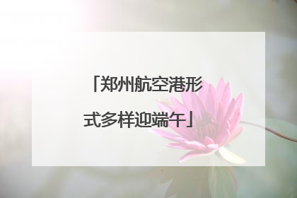 郑州航空港形式多样迎端午