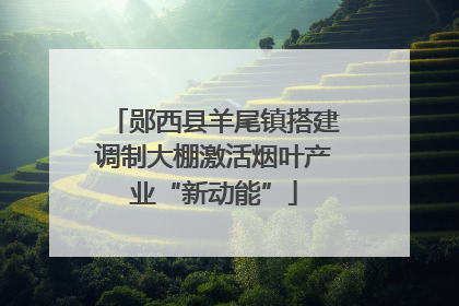 郧西县羊尾镇搭建调制大棚激活烟叶产业“新动能”