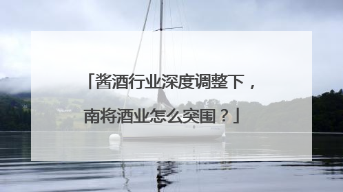 酱酒行业深度调整下，南将酒业怎么突围？