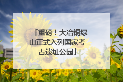 重磅！大冶铜绿山正式入列国家考古遗址公园
