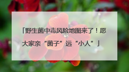 野生菌中毒风险地图来了！愿大家亲“菌子”远“小人”