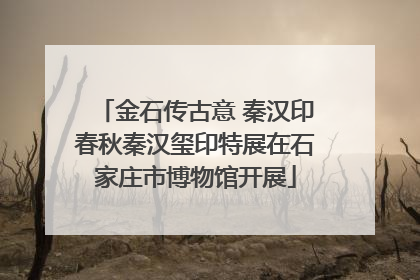 金石传古意 秦汉印春秋秦汉玺印特展在石家庄市博物馆开展