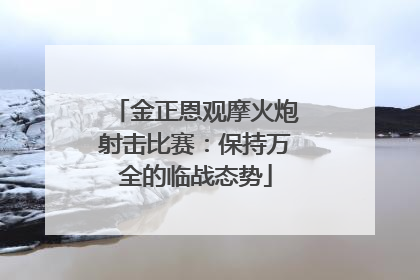 金正恩观摩火炮射击比赛：保持万全的临战态势