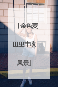 金色麦田里丰收风景
