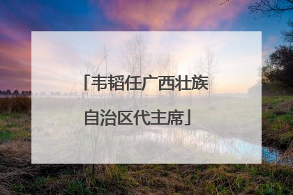 韦韬任广西壮族自治区代主席