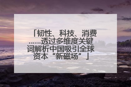 韧性、科技、消费……透过多维度关键词解析中国吸引全球资本“新磁场”
