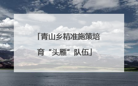 青山乡精准施策培育“头雁”队伍