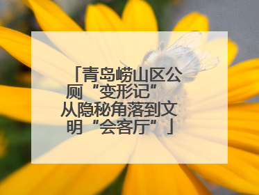 青岛崂山区公厕“变形记” 从隐秘角落到文明“会客厅”
