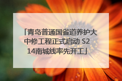 青岛普通国省道养护大中修工程正式启动 S214南城线率先开工