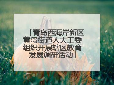 青岛西海岸新区黄岛街道人大工委组织开展辖区教育发展调研活动