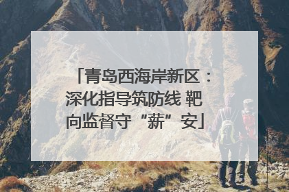 青岛西海岸新区：深化指导筑防线 靶向监督守“薪”安